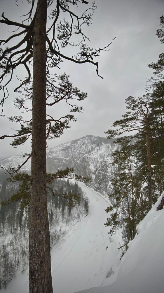 Величественный Мамбет