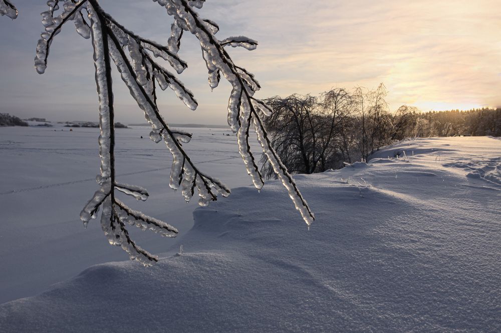 Photograph by Зеленько Дмитрий