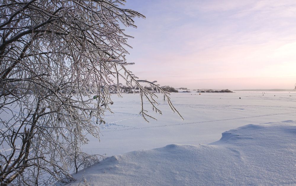 Photograph by Зеленько Дмитрий