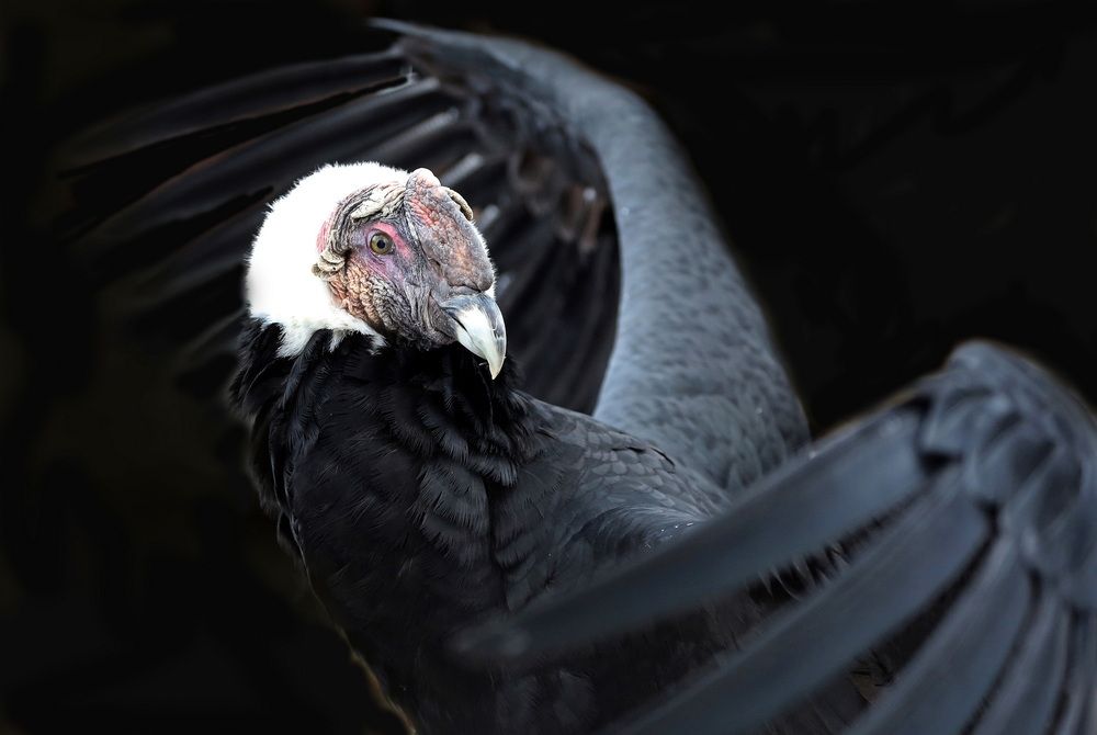 Photograph by Бибичков Михаил