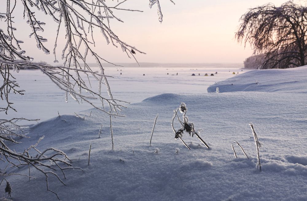 Photograph by Зеленько Дмитрий