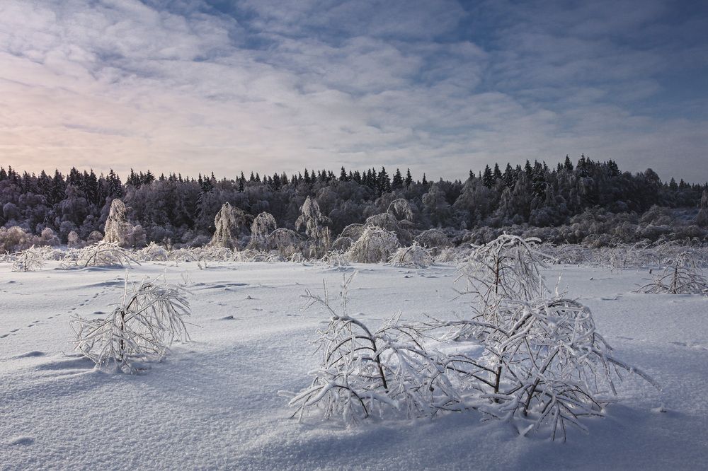 Photograph by Зеленько Дмитрий
