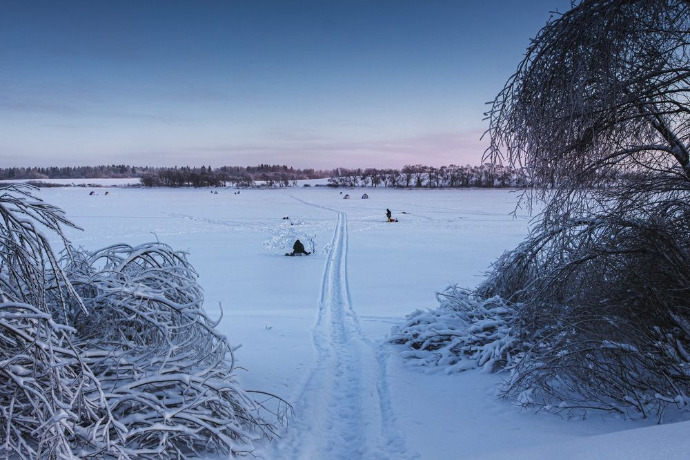 Photograph by Зеленько Дмитрий