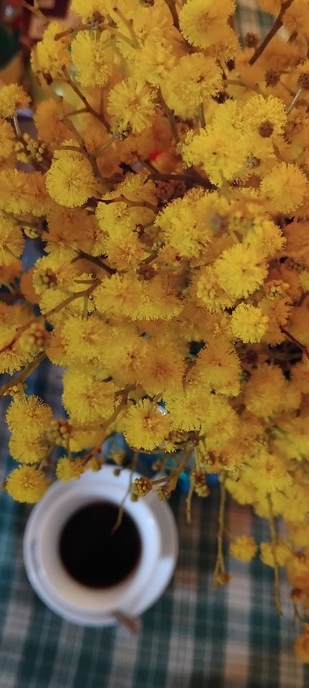 Photograph by WANDA OZIERANSKA