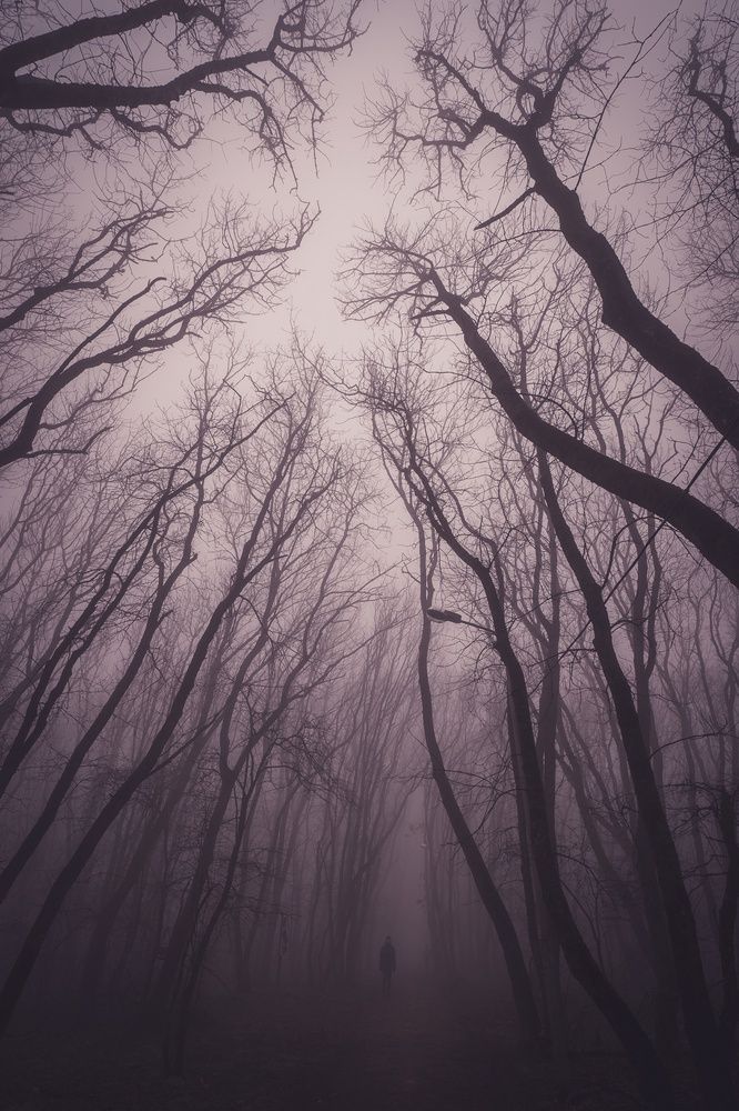 Photograph by Рымаров Александр