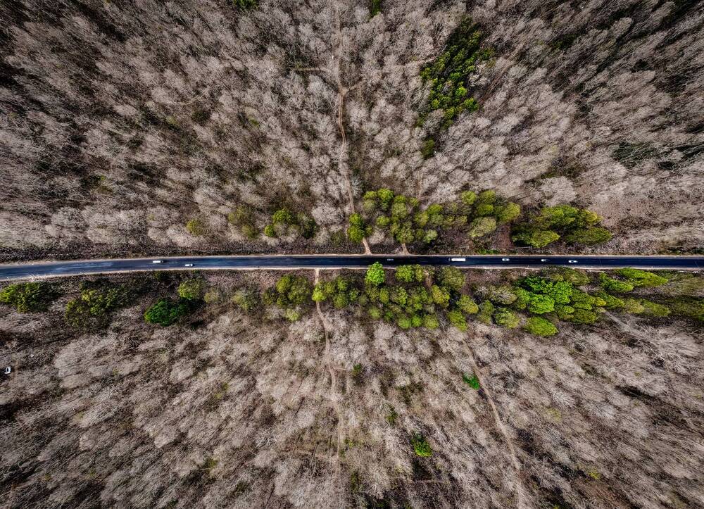 Photograph by Lê Huy Anh