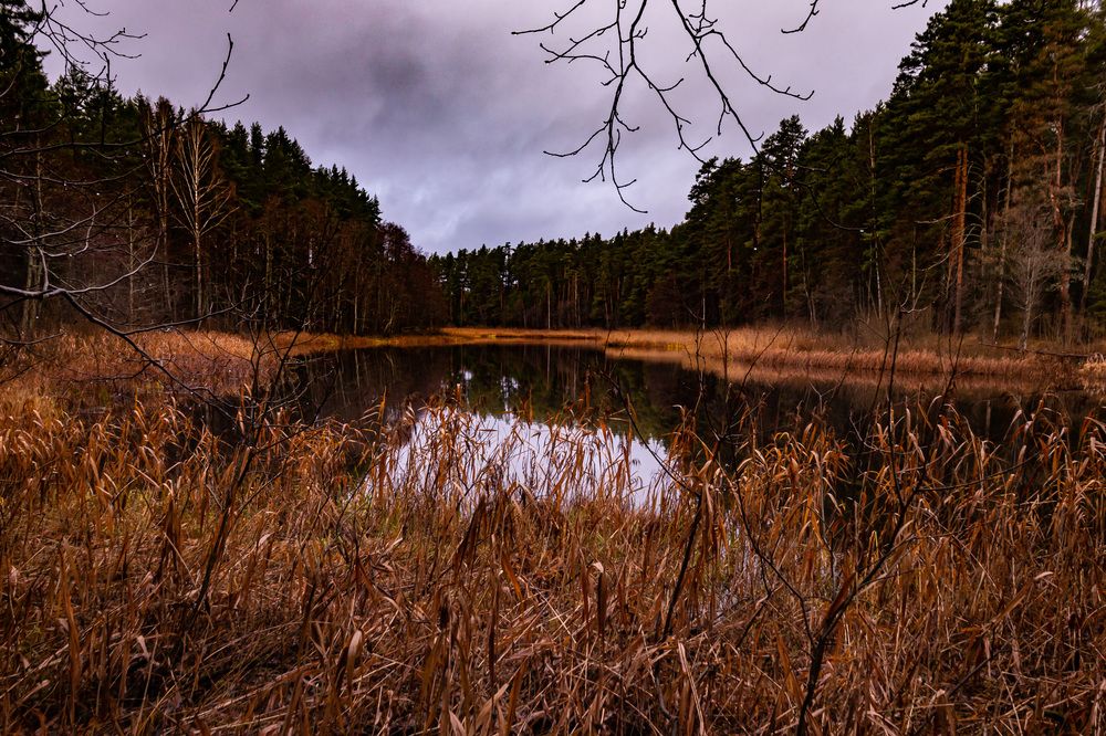 Photograph by Владислав Лопатов