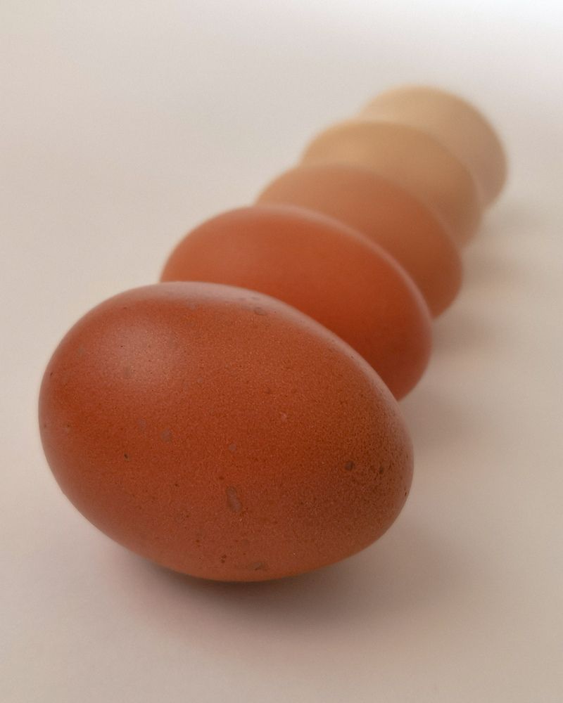 Photograph by Oxana Kostsova