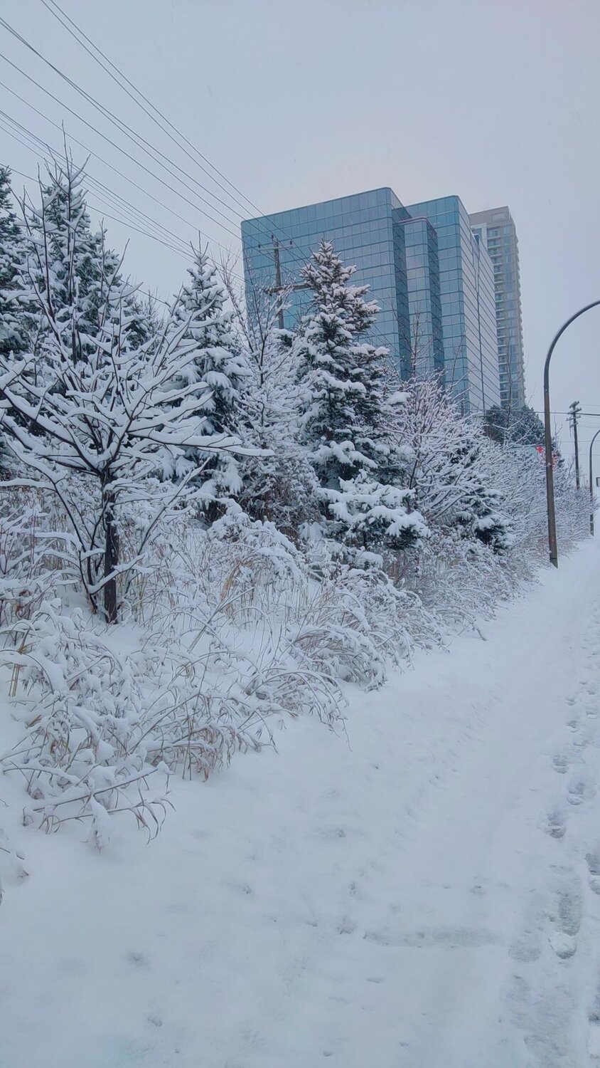 Photo #11830947