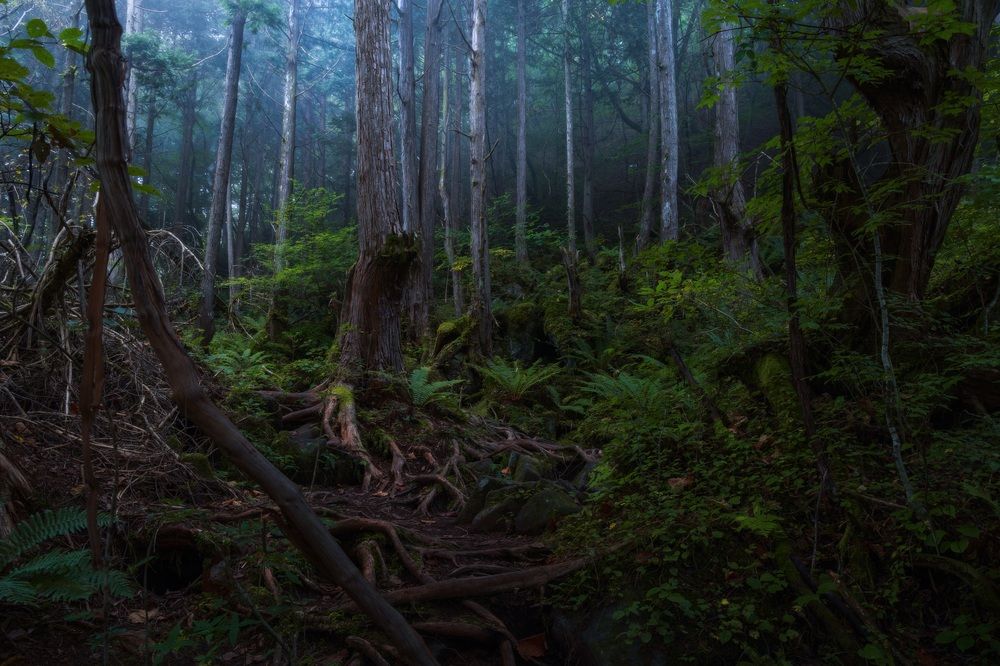 Photograph by 南雲 柊人