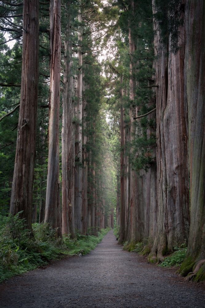 Photograph by 南雲 柊人