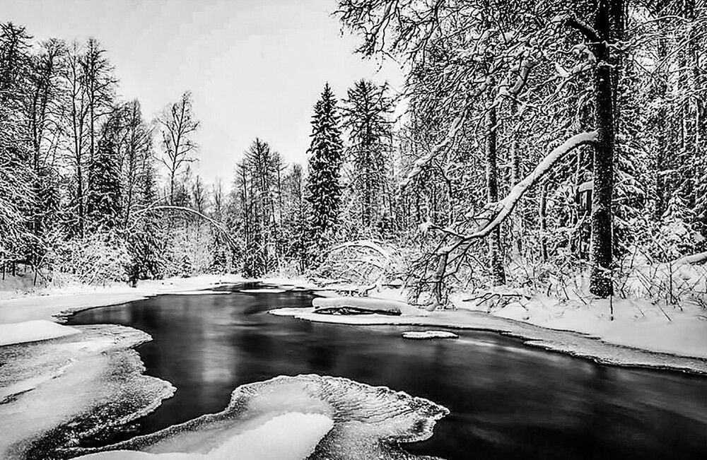 Photograph by Борис Абрамов