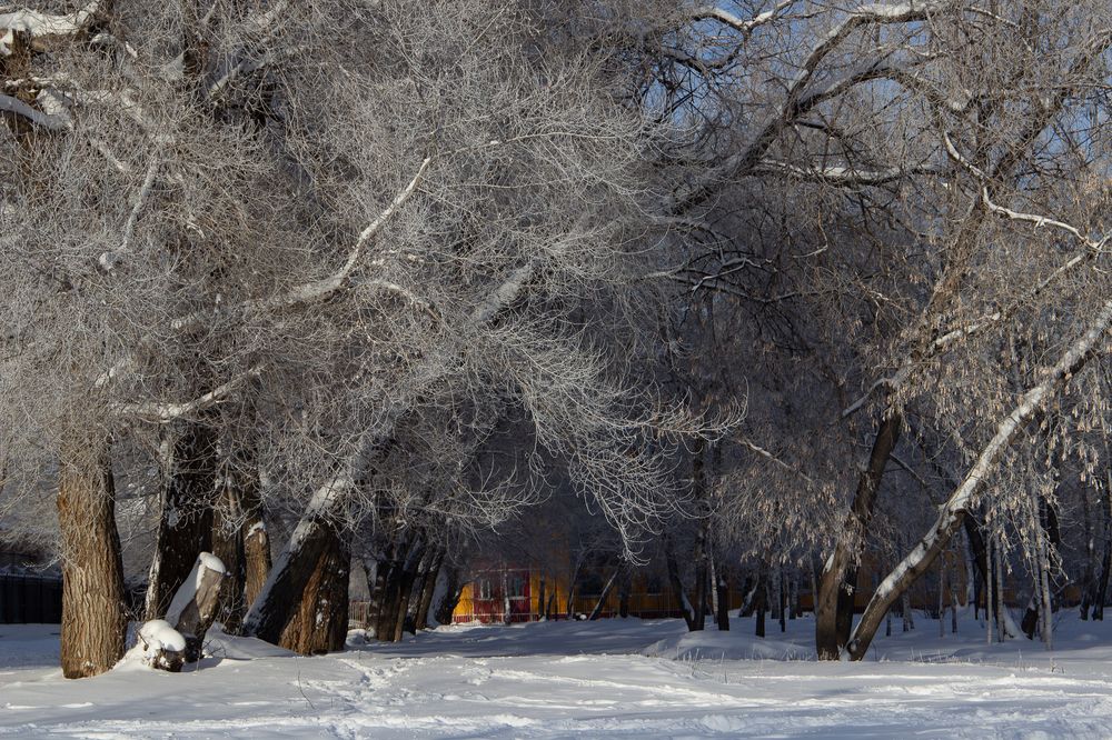 Фотография автора Екатерина Першина