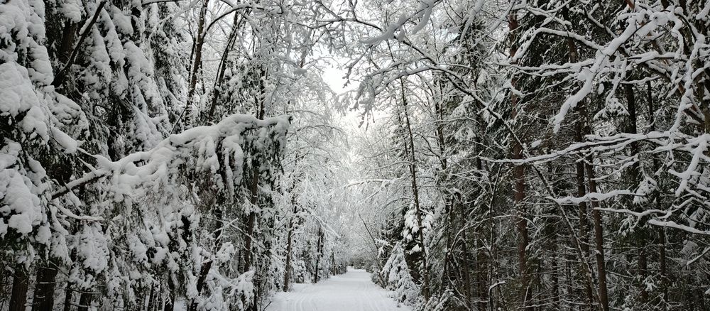 Photo #11831026