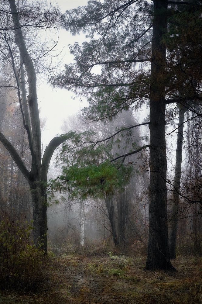 Photograph by Искандар Газизов