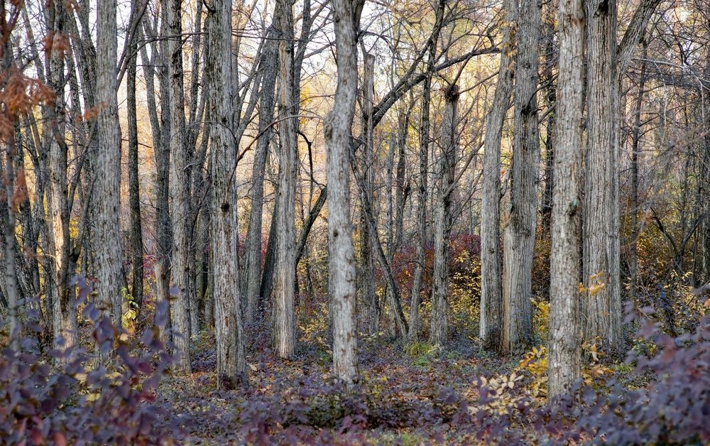 Photograph by Искандар Газизов