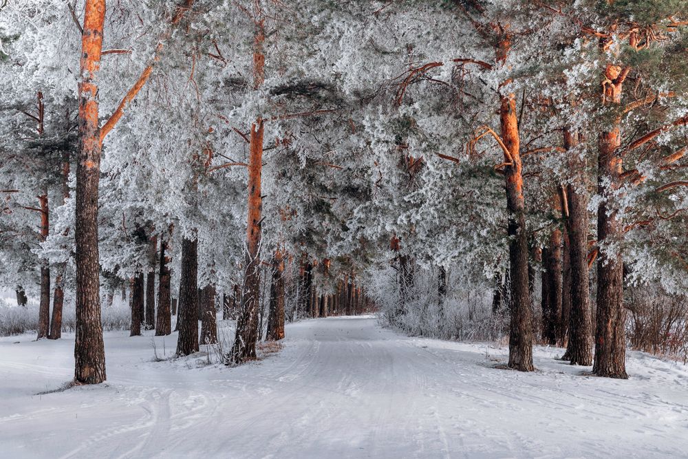 Photograph by Андрей Малыгин