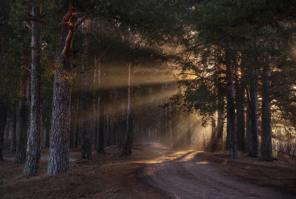 Photograph by Андрей Малыгин