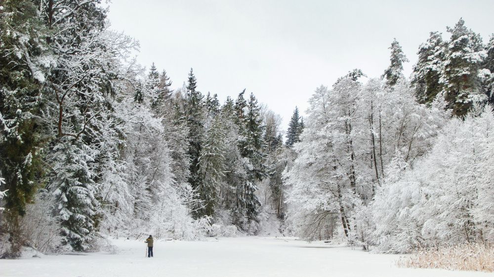 Photograph by Алексей Борисов