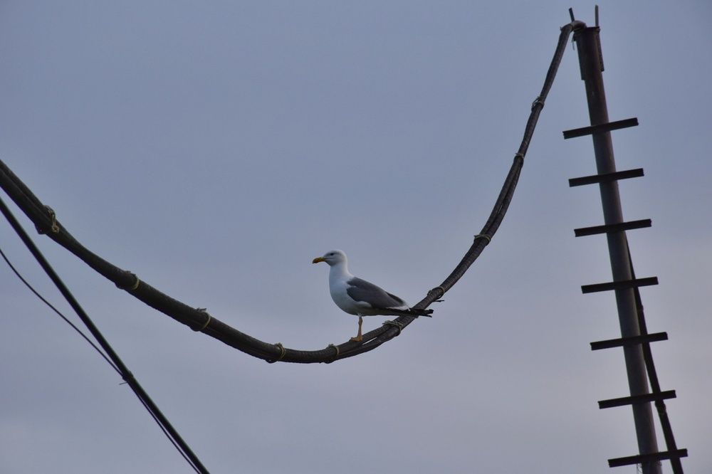 Photograph by Нина Кольман