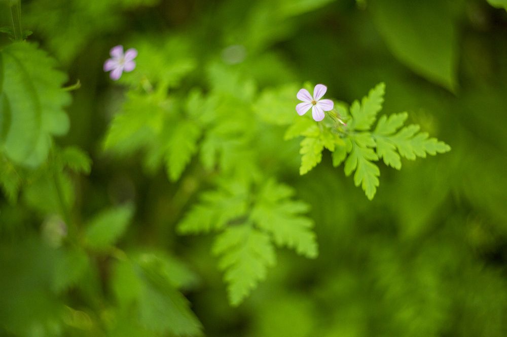Photograph by Евгений Цапенко