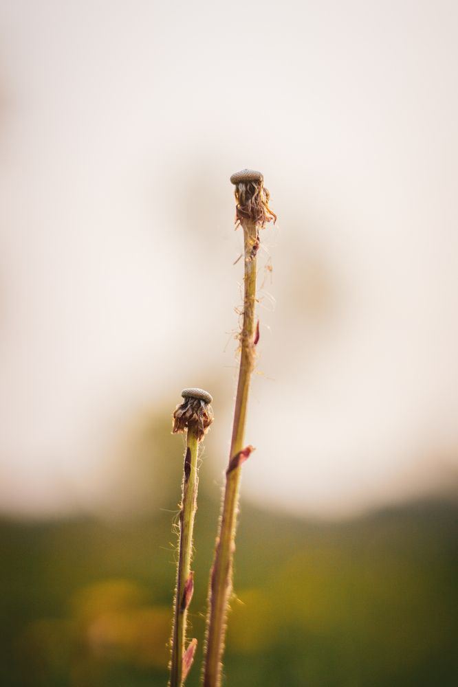 Photograph by Елена Шихалева