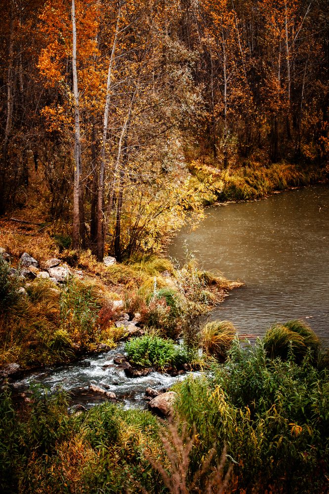 Photograph by Виктория Хадкевич