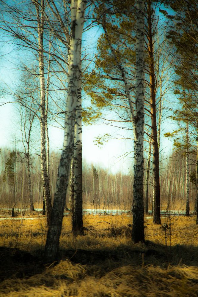 Photograph by Виктория Хадкевич