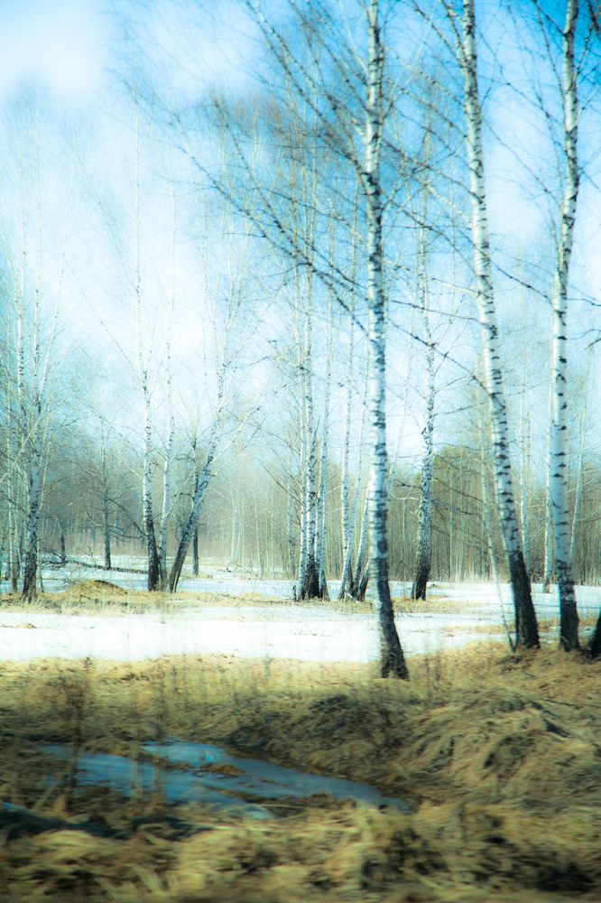 Photograph by Виктория Хадкевич