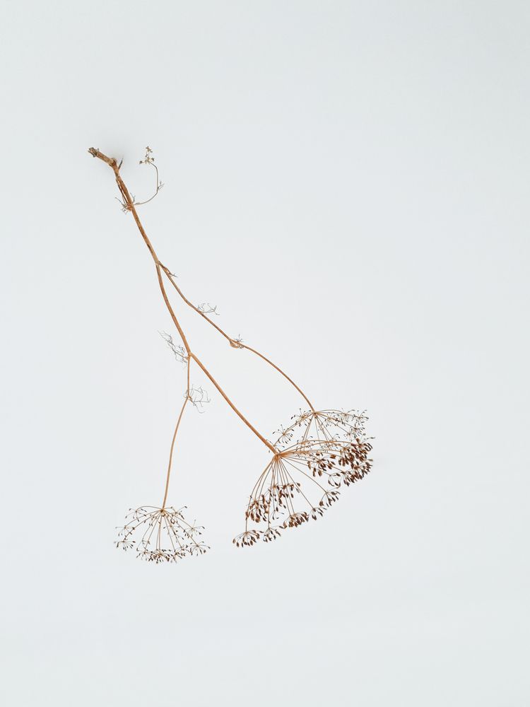 Photograph by Елена Шихалева