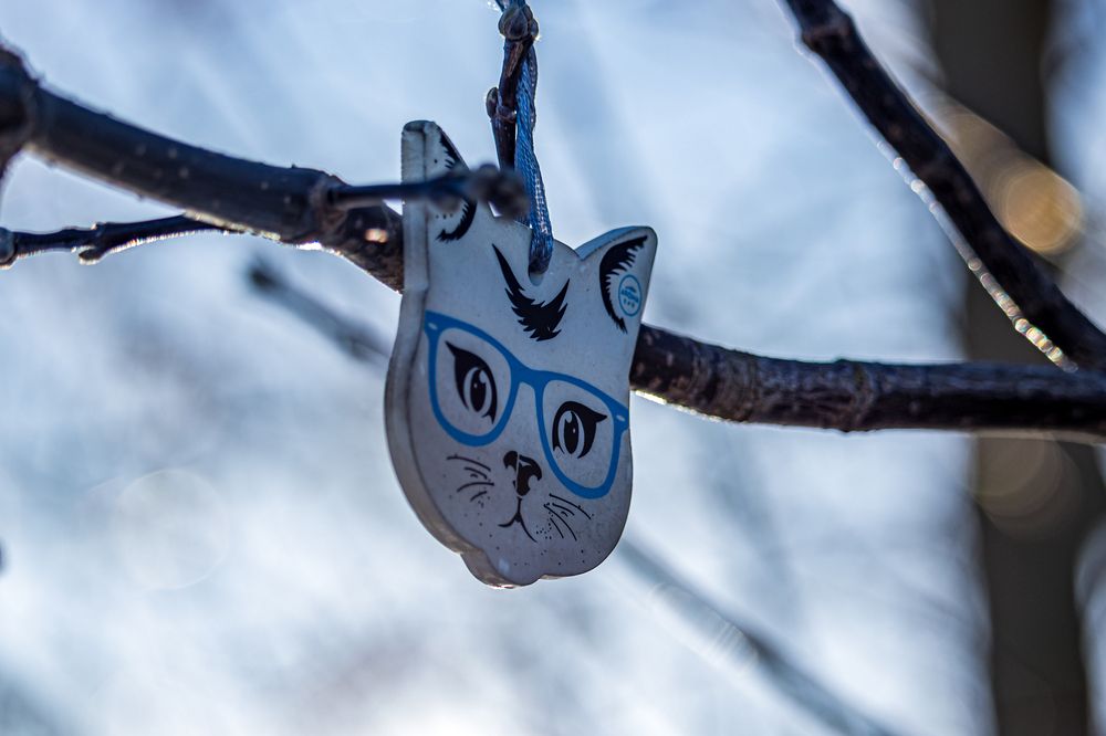 Photograph by Сергей Зайцев