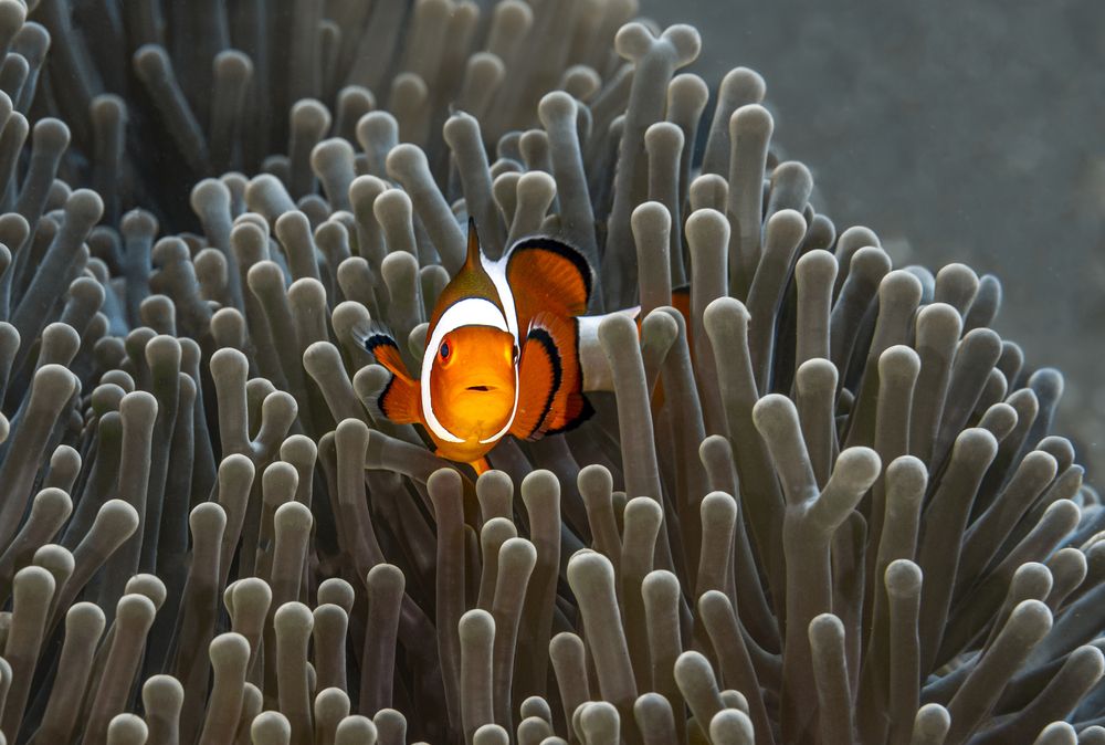 Photograph by Ceci Ver