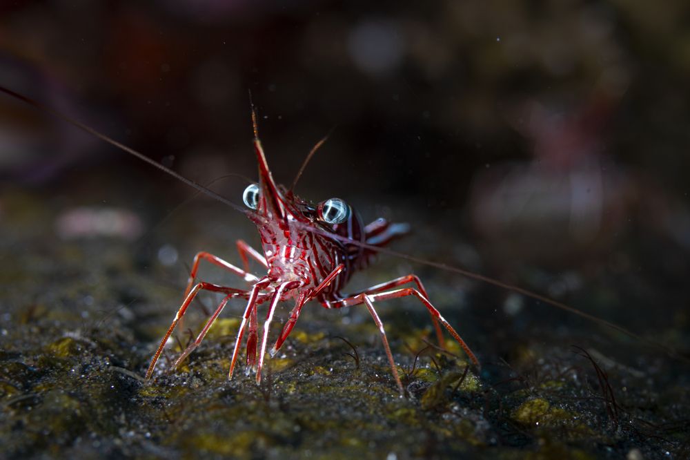 Photograph by Ceci Ver