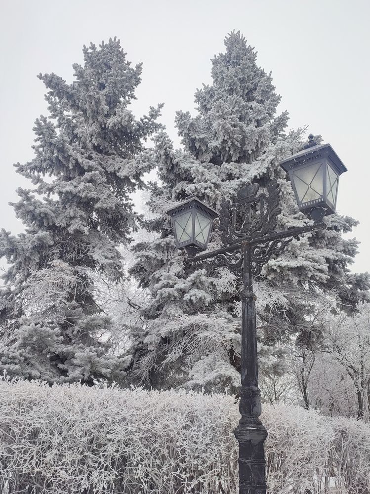 Photograph by Людмила Кузнецова