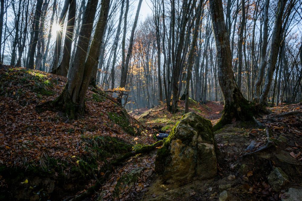 Photograph by Сергей Перегудов