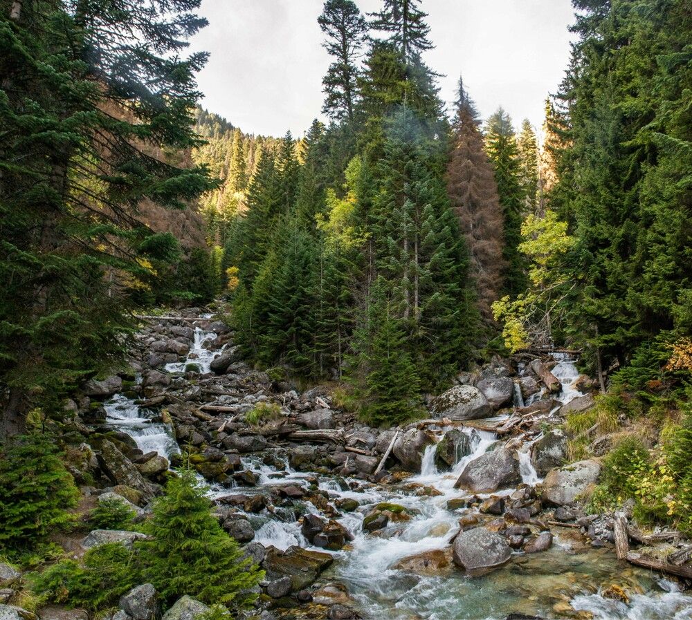 Photograph by Сергей Перегудов