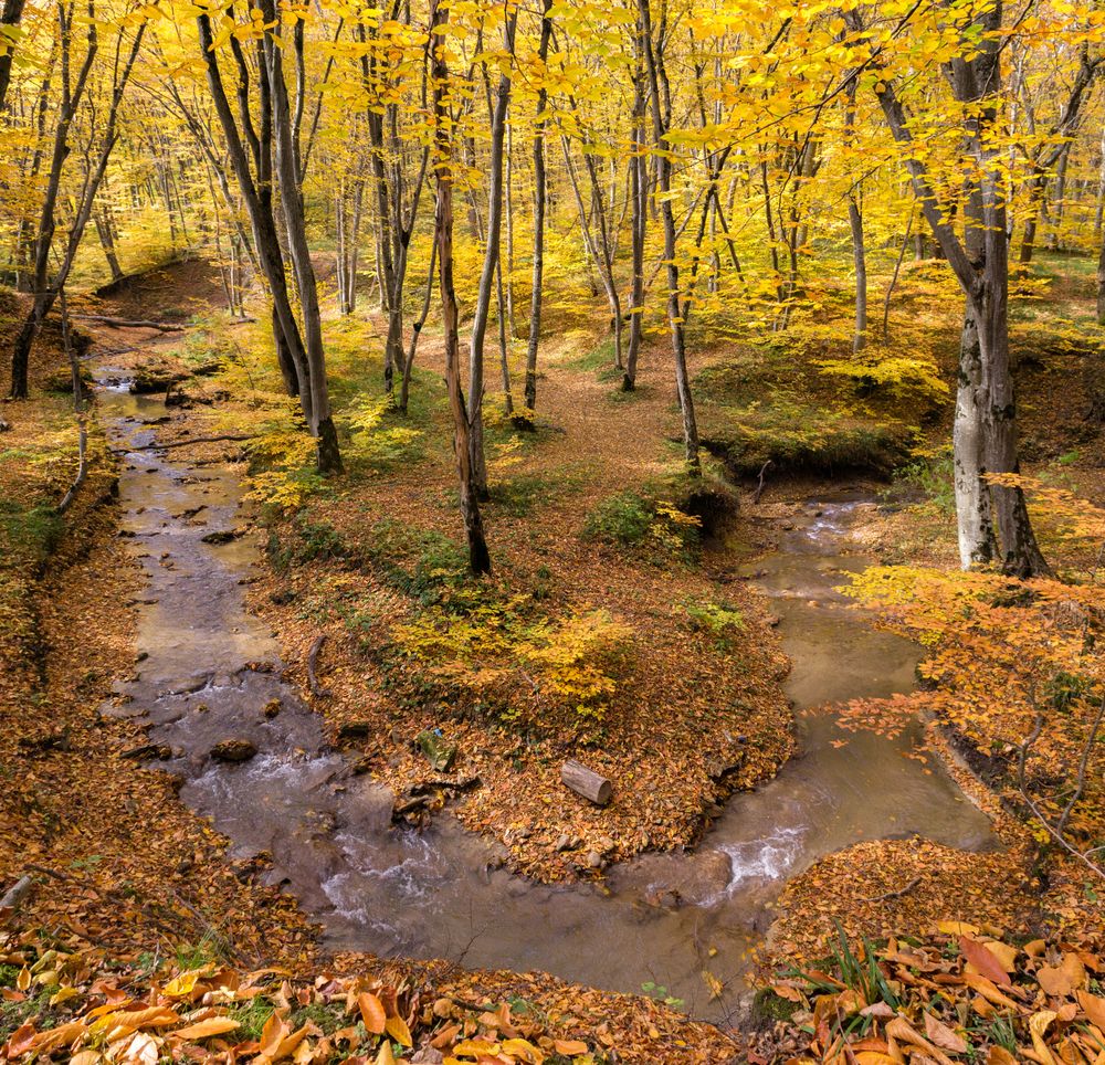 Photograph by Сергей Перегудов