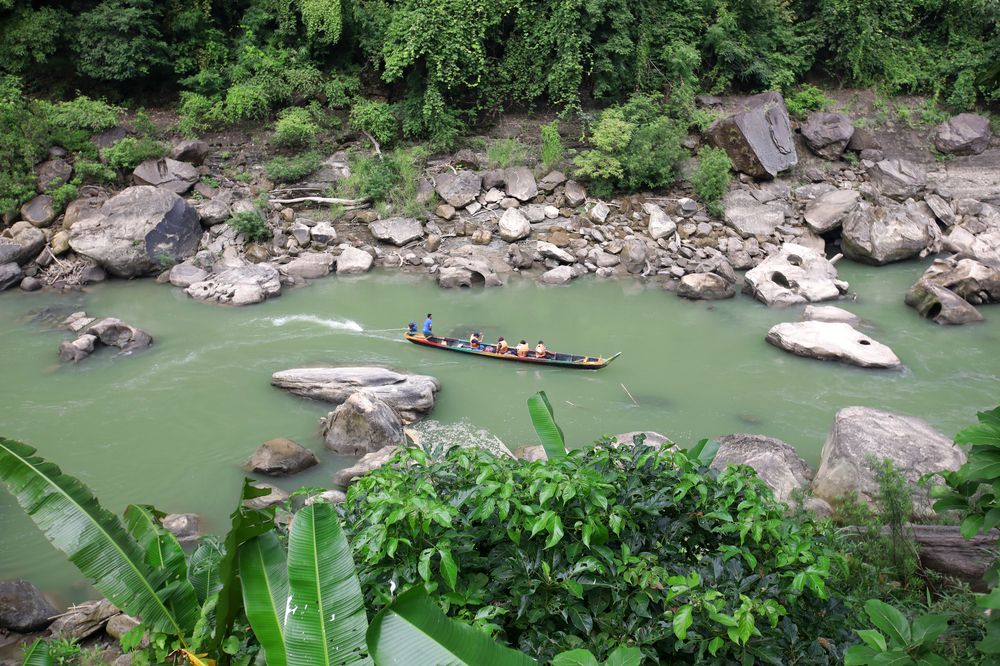 Struggling Life with Nature