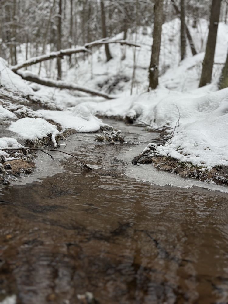 Photograph by Александра Зайниева