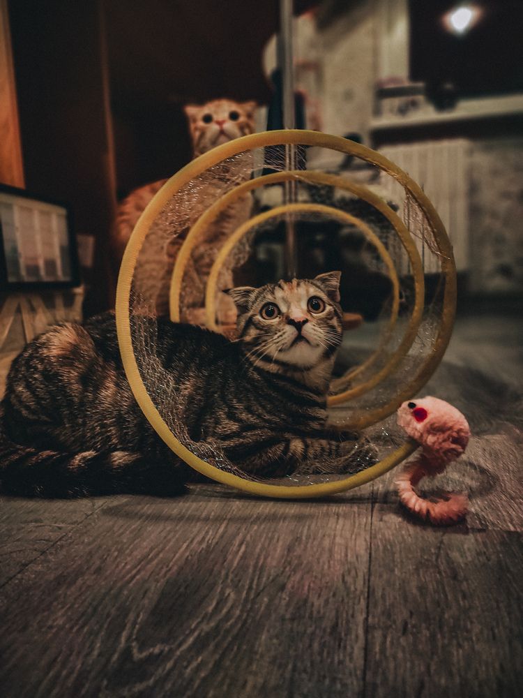 Photograph by Олег Богданович