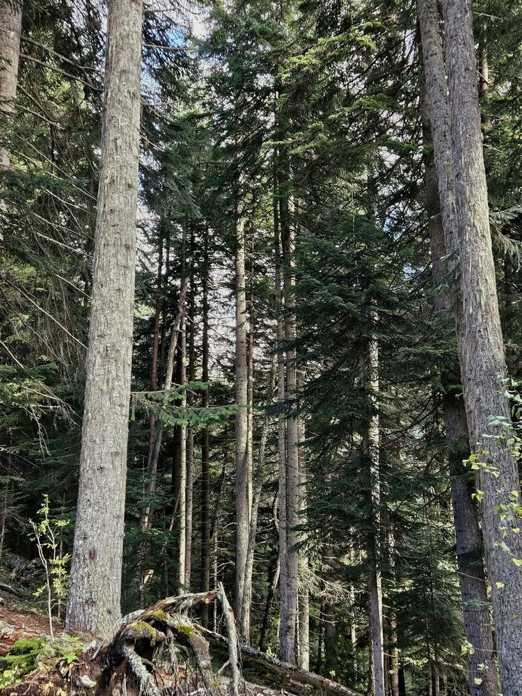 Фотография автора Ангелина Франк