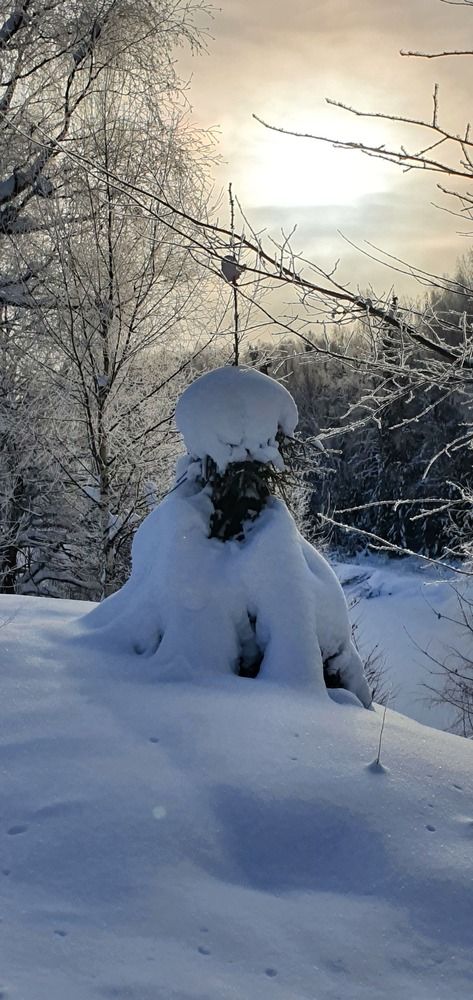 Photograph by Анастасия