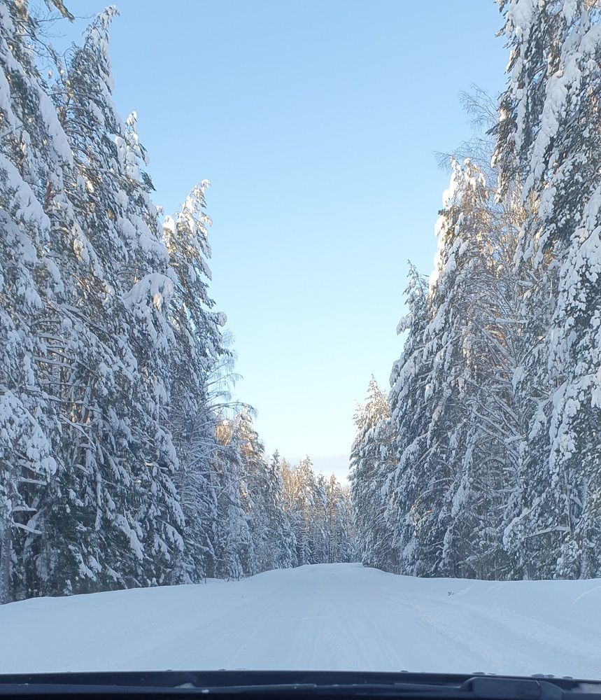 Photograph by Анастасия