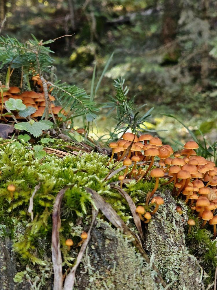 Фотография автора Ангелина Франк