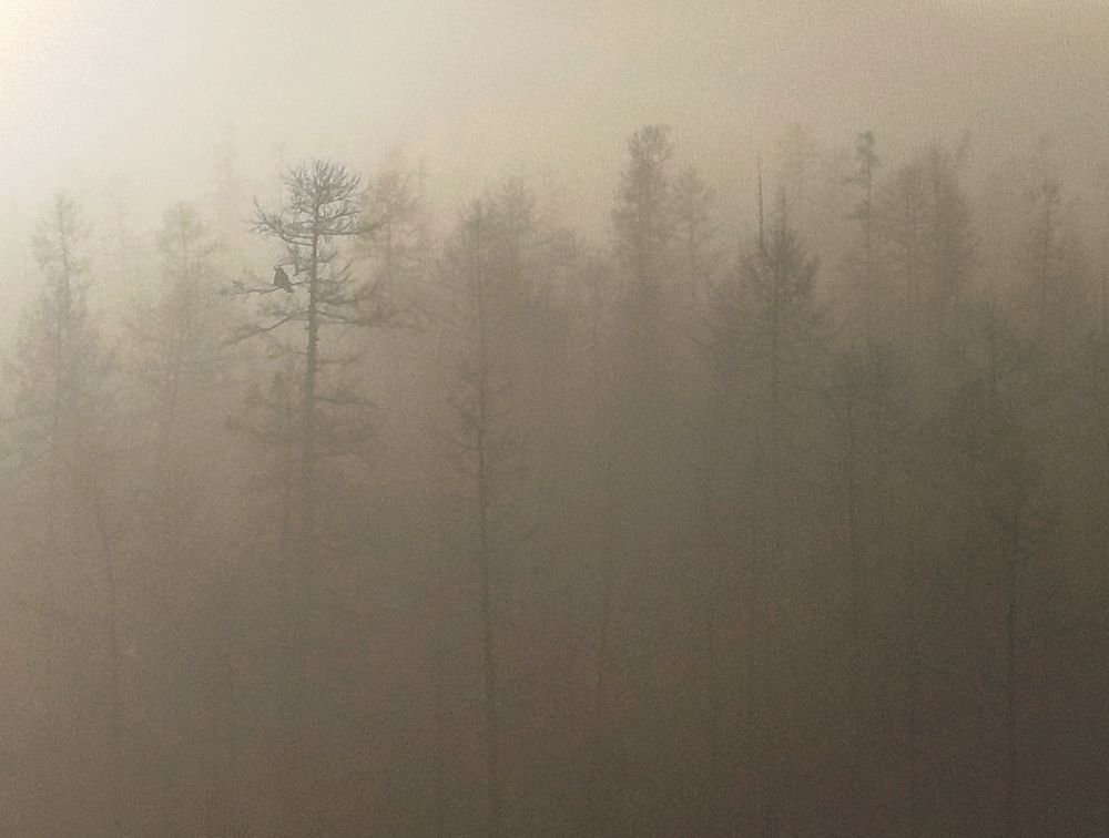 Одиночество