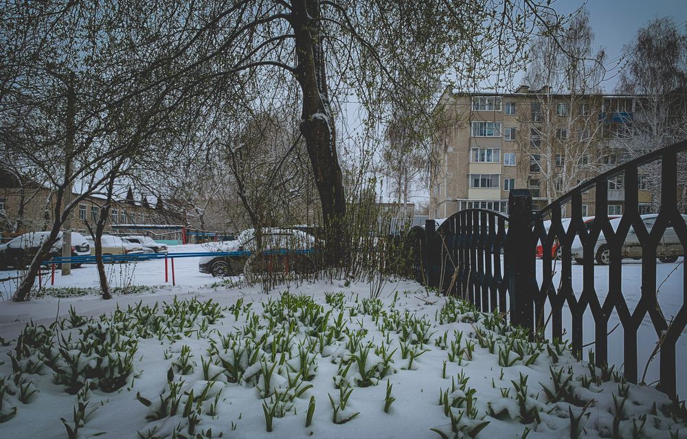 Фотография автора Дмитрий Мясников
