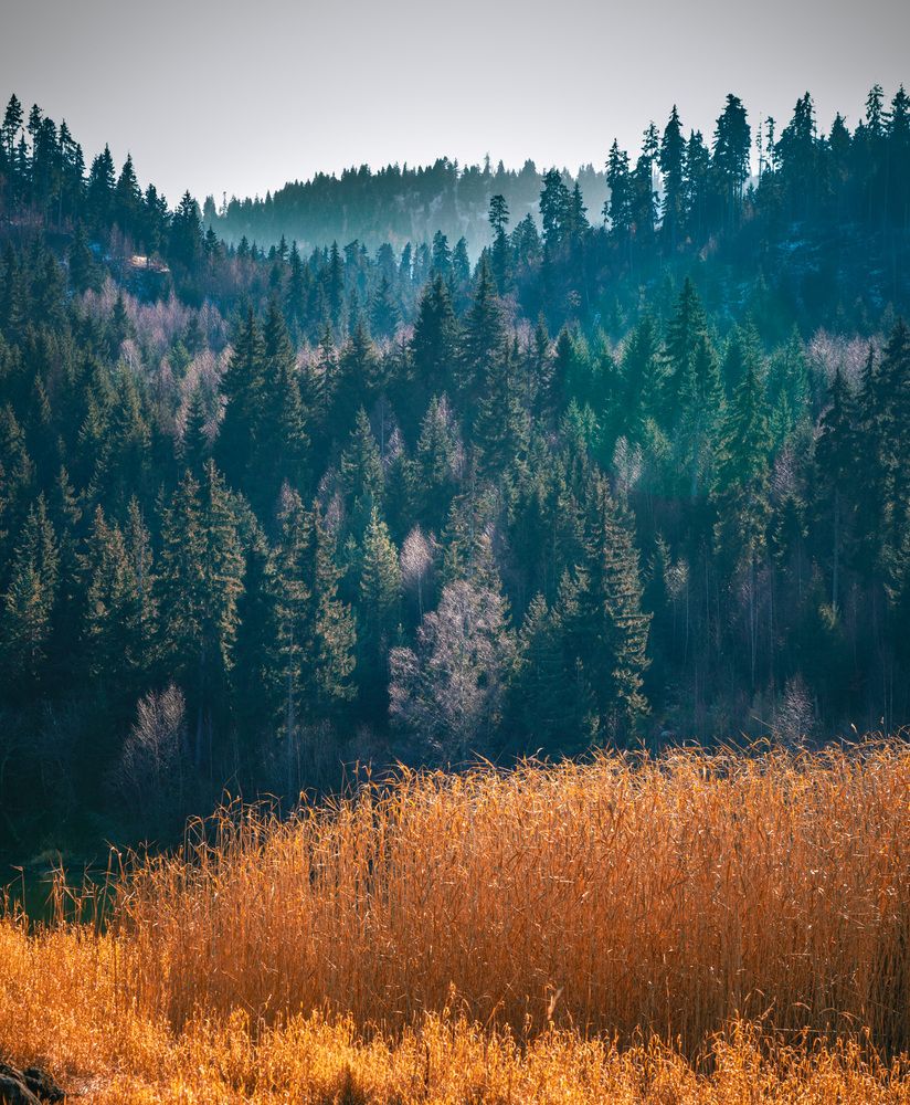 Photograph by Дмитрий Куркулин