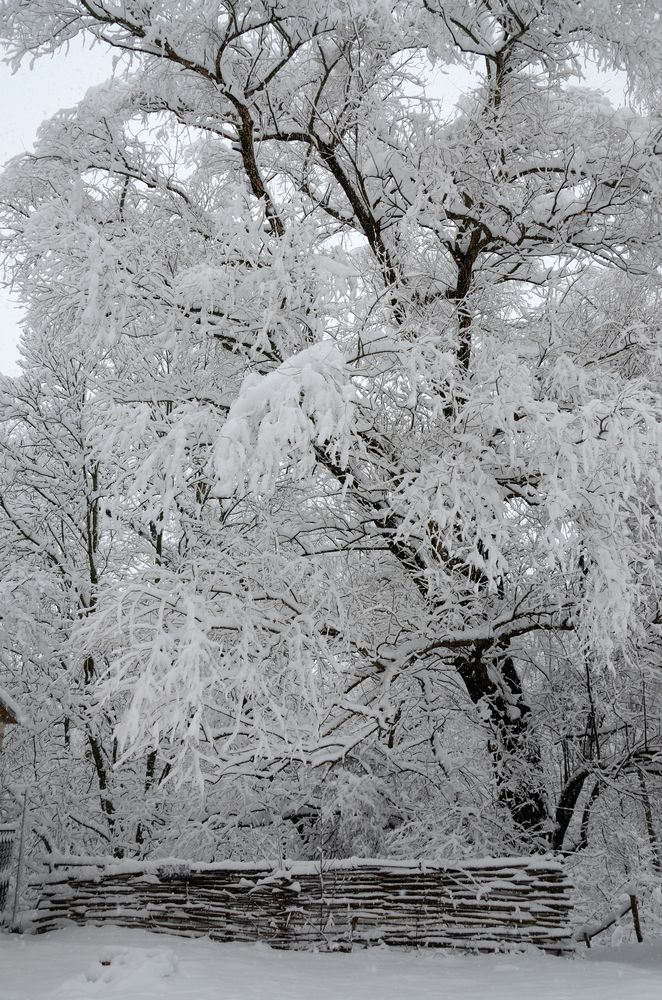 Фотография автора Батюков Алексей
