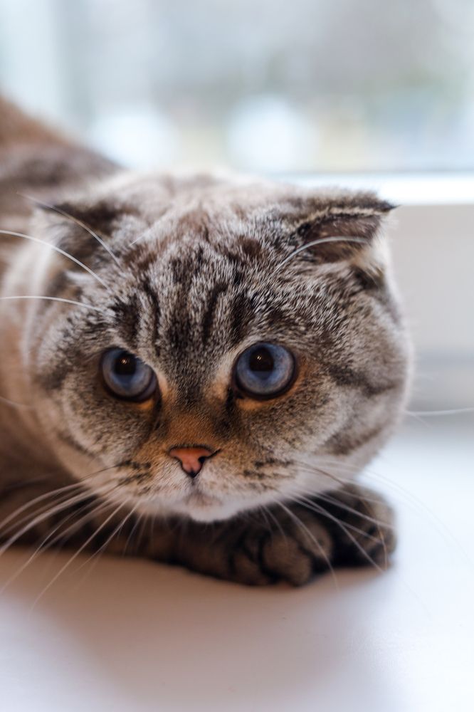 Photograph by Екатерина Козлова