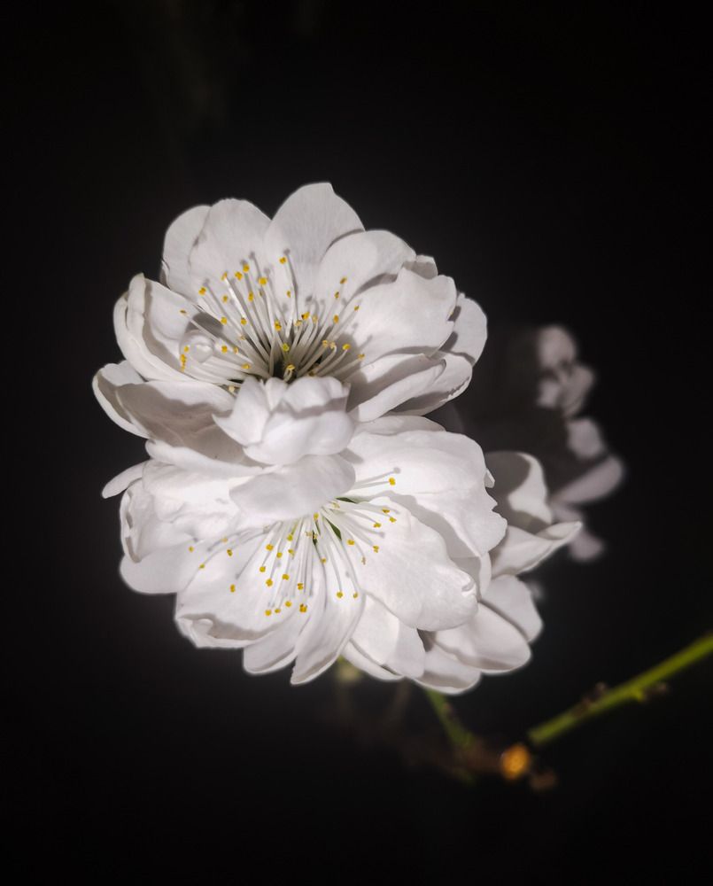 Фотография автора Bernadette Pretorius